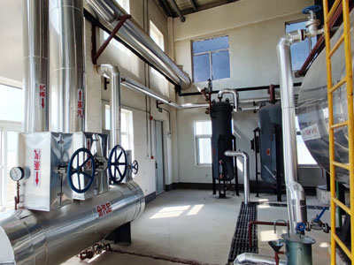15ton gas fuel steam boiler for EPS foam factory (1).jpg